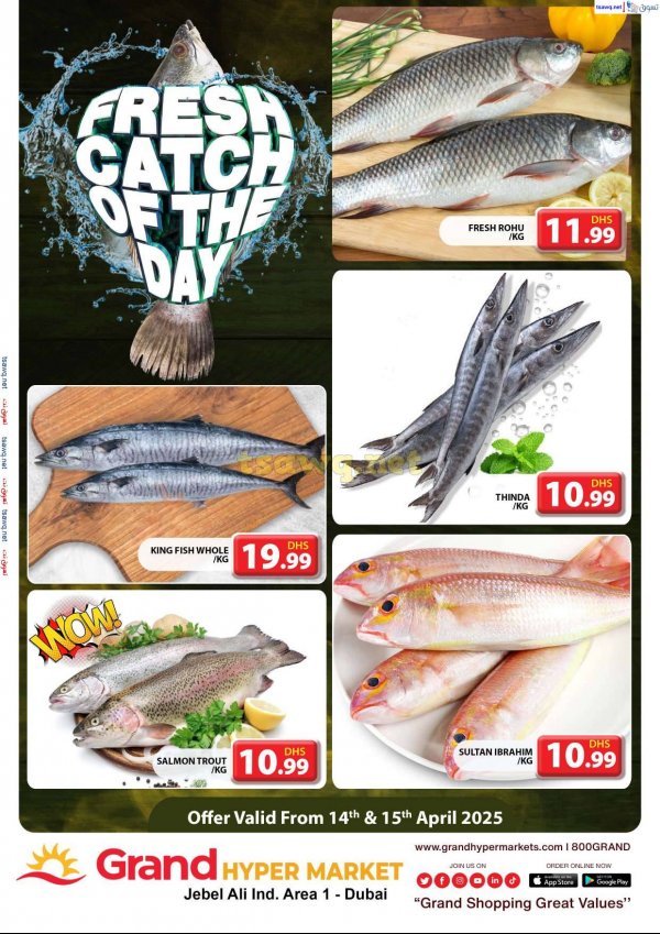 Grand Hypermarket Jabel Ali offers fr 14 to 15 April 2025 Fresh Fish
