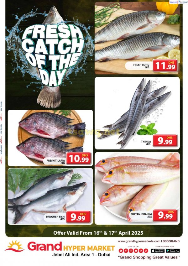 Grand Hypermarket Jabel Ali offers fr 16 to 17 April 2025 Fresh Fish