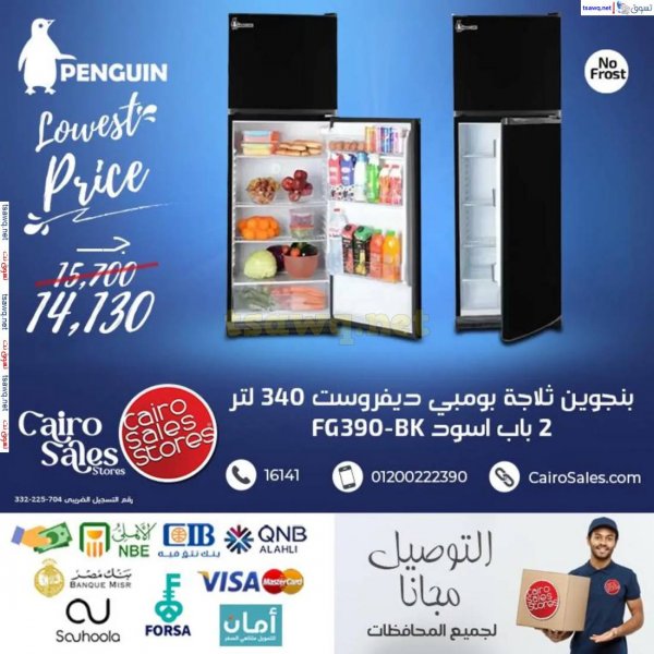 Cairo Sales offers fr 16 April 2025 Penguin Appliances