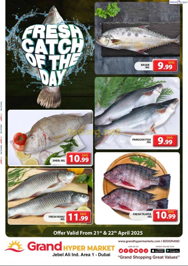 Grand Hypermarket Jabel Ali offers to 22 April 2025 Fresh Fish