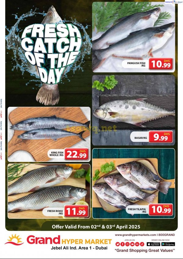 Grand Hypermarket Jabel Ali offers fr 2 to 3 April 2025 Fresh Fish