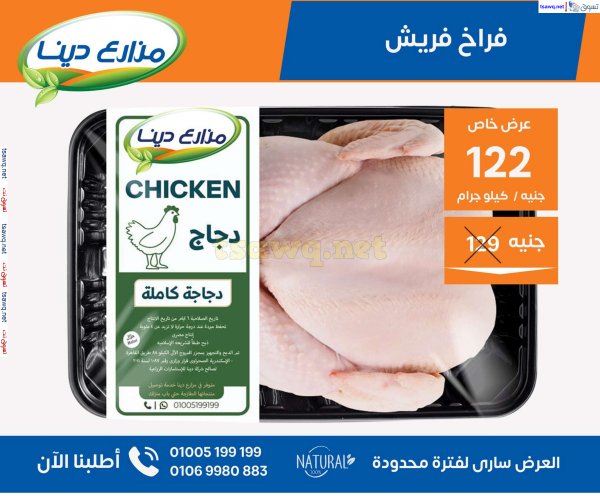 عروض مزارع دينا الصحراوى من 19 أغسطس 2024 عروض الصيف