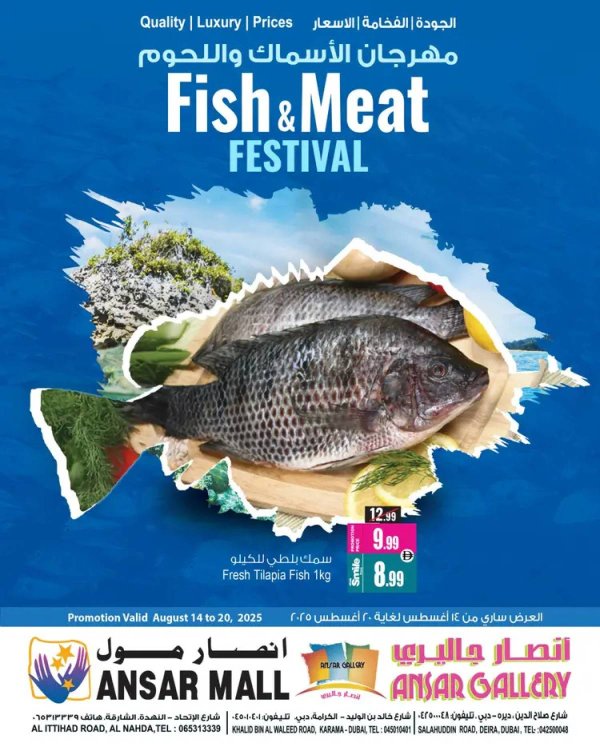 عروض أنصار مول وأنصار جاليرى من 14 حتى 20 أغسطس 2025 مهرجان الأسماك واللحوم