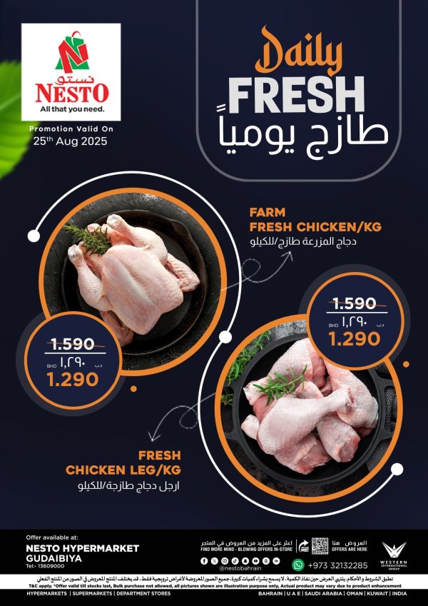 عروض نستو القضيبية اليوم الإثنين 25 أغسطس 2025 طازج يوميا