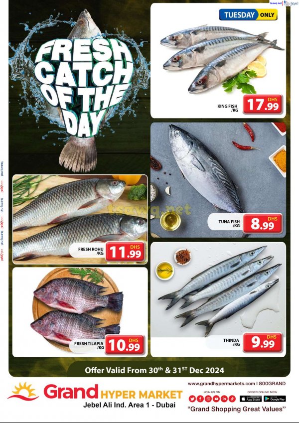 Grand Hypermarket Jabel Ali offers to 31 Dec 2024 Fresh Fish