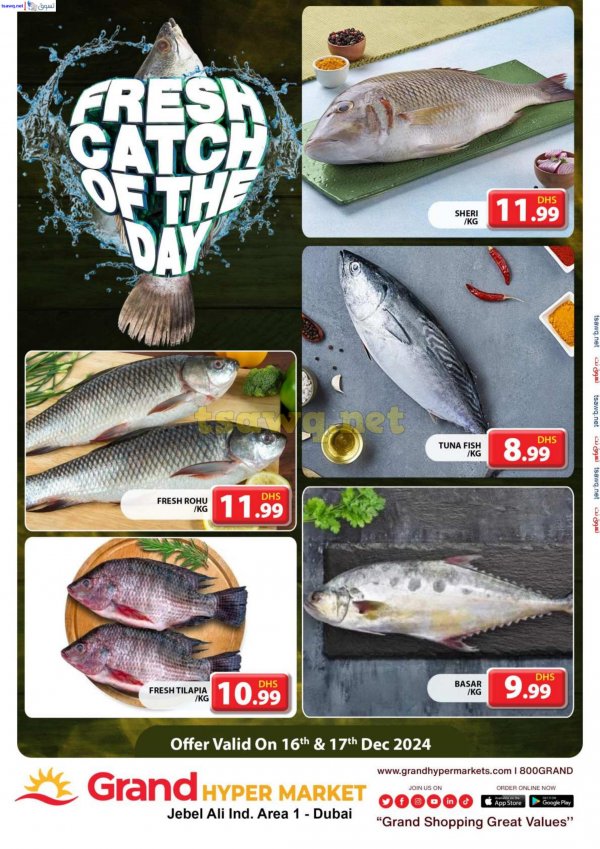 Grand Hypermarket Jabel Ali offers to 17 Dec 2024 Fresh Fish