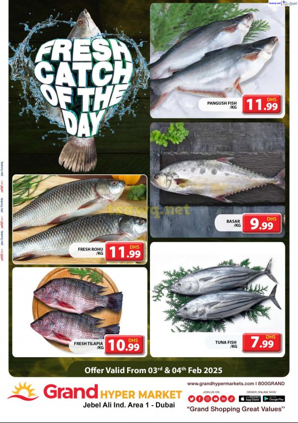 Grand Hypermarket Jabel Ali offers fr 3 to 4 Feb 2025 Fresh Fish