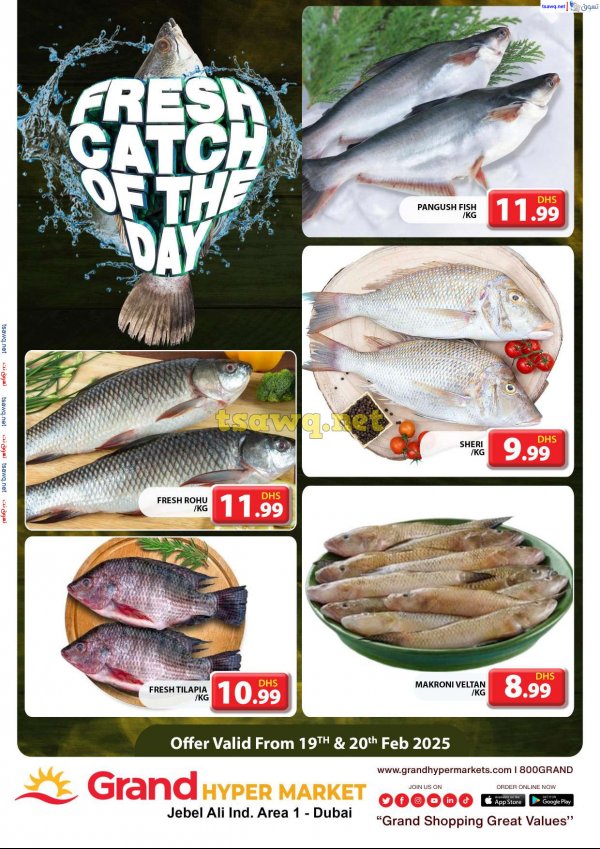 Grand Hypermarket Jabel Ali offers fr 19 to 20 Feb 2025 Fresh Fish