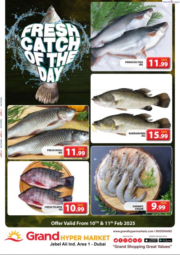 Grand Hypermarket Jabel Ali offers fr 10 to 11 Feb 2025 Fresh Fish