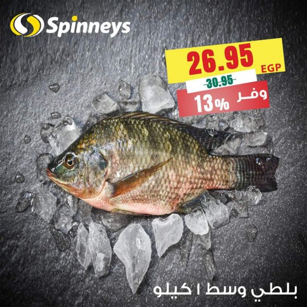 عروض سبينيس من 25 يناير حتى 5 فبراير 2022 كرنفال الأسماك