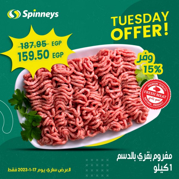عرض سبينيس اليوم الثلاثاء 17 يناير 2023 عرض يوم واحد