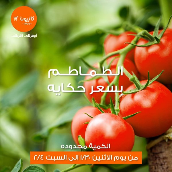 عروض كازيون ماركت من 30 يناير حتى 4 فبراير 2023 عرض الطماطم