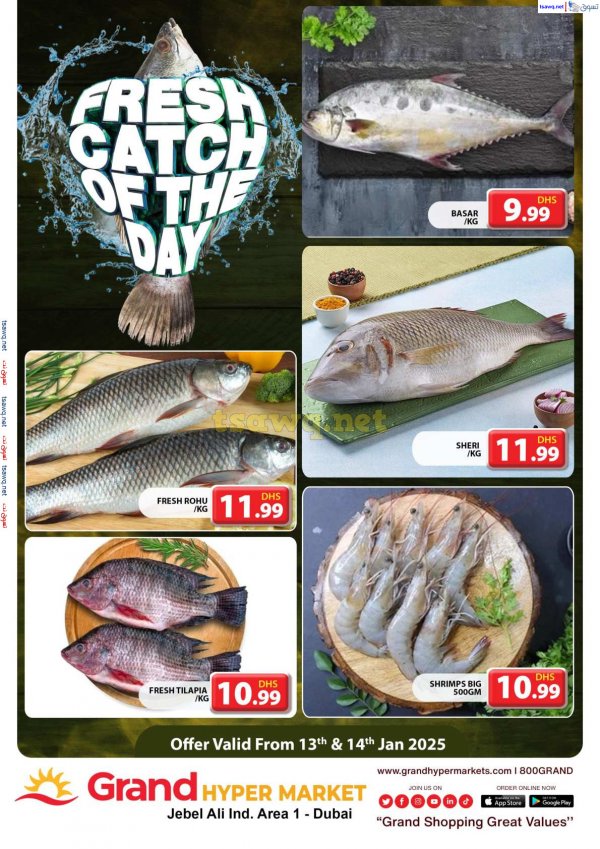 Grand Hypermarket Jabel Ali offers fr 13 to 14 Jan 2025 Fresh Fish