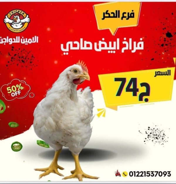 عروض الأمين للدواجن الإسماعيلية فرع الحكر الأحد 28 يونيو 2025