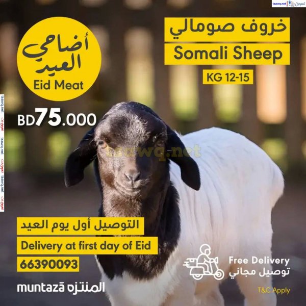 عروض أسواق المنتزة البحرين حتى 3 يونيو 2025 أضاحى العيد