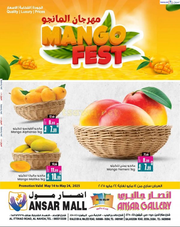 عروض أنصار مول وأنصار جاليرى  من 14 حتى 24 مايو 2025 مهرجان المانجو