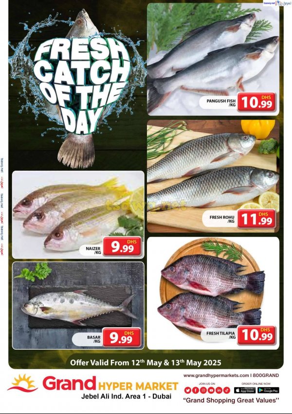 Grand Hypermarket Jabel Ali offers fr 12 to 13 May 2025 Fresh Fish