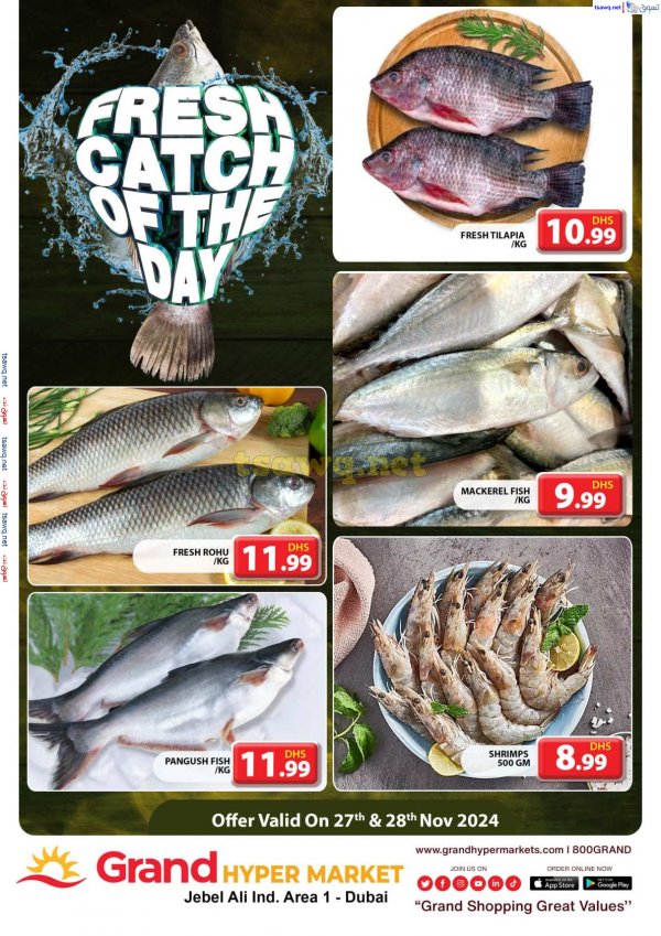 Grand Hypermarket Jabel Ali offers to 28 Nov 2024 Fresh Fish
