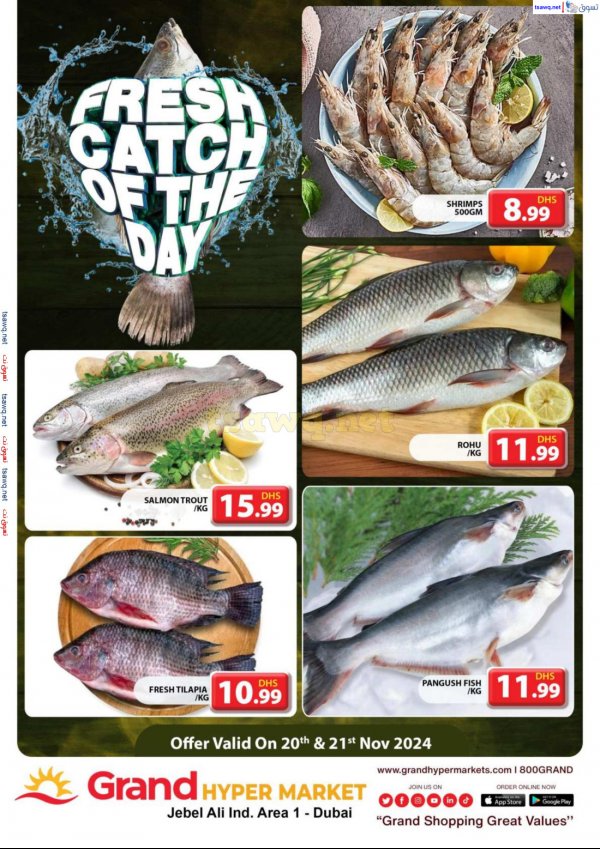 Grand Hypermarket Jabel Ali offers to 21 Nov 2024 Fresh Fish