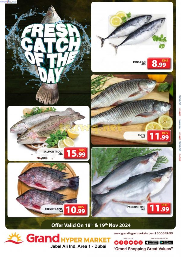 Grand Hypermarket Jabel Ali offers to 19 Nov 2024 Fresh Fish