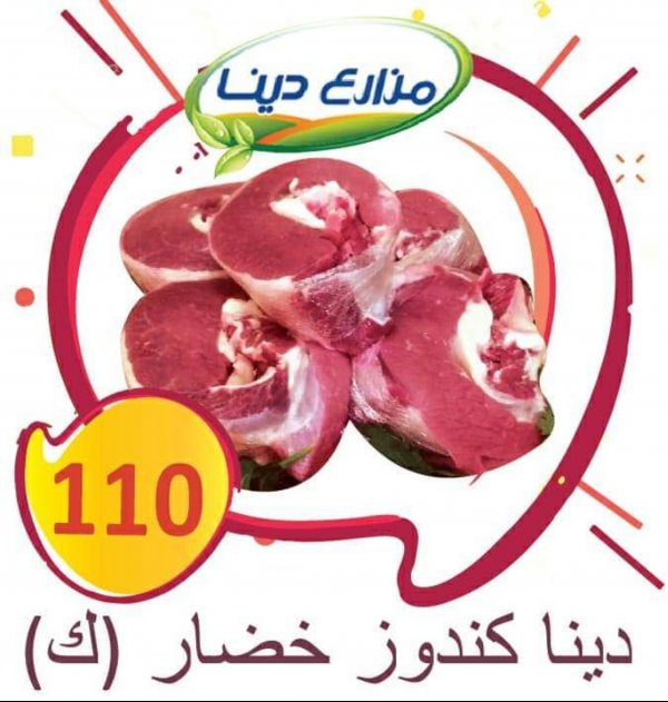 أسعار منتجات مزارع دينا الصحراوى من 15-10-2019